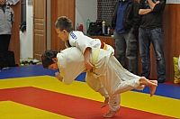 Randori TYN 2013_45.jpg