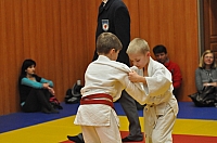 Randori TYN 2013_50.jpg
