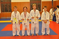 Randori TYN 2013_71.jpg