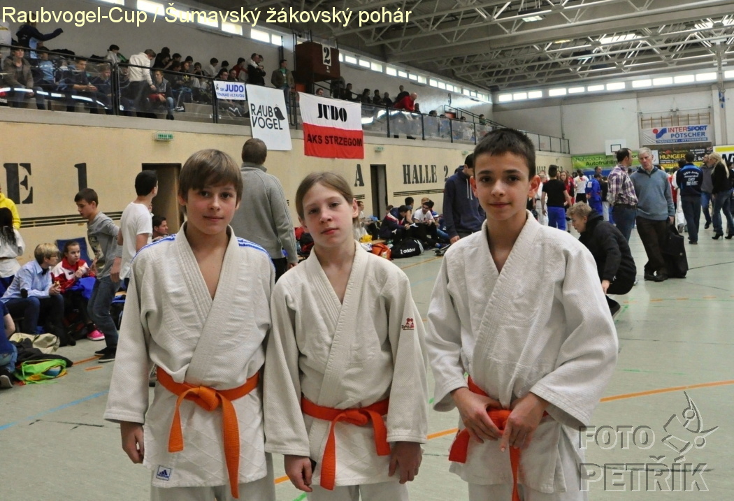 Rohrbach  CUP-1_.JPG