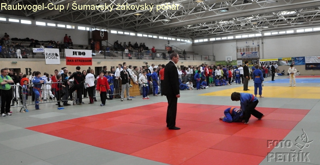 Rohrbach  CUP-1__02.JPG