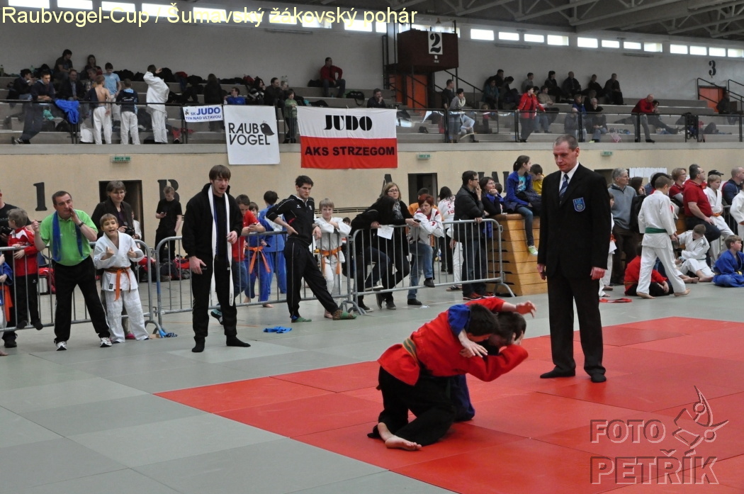 Rohrbach  CUP-1__06.JPG