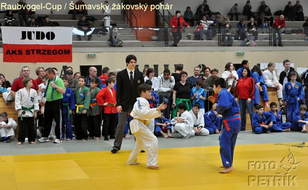 Rohrbach  CUP-1__08.JPG