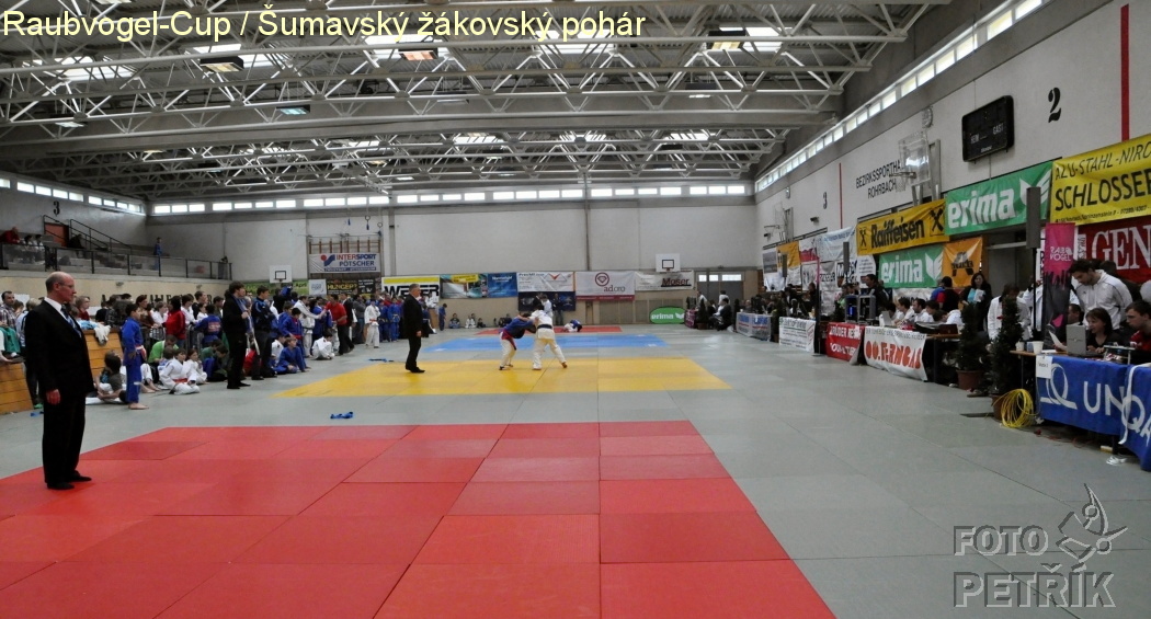 Rohrbach  CUP-1__10.JPG