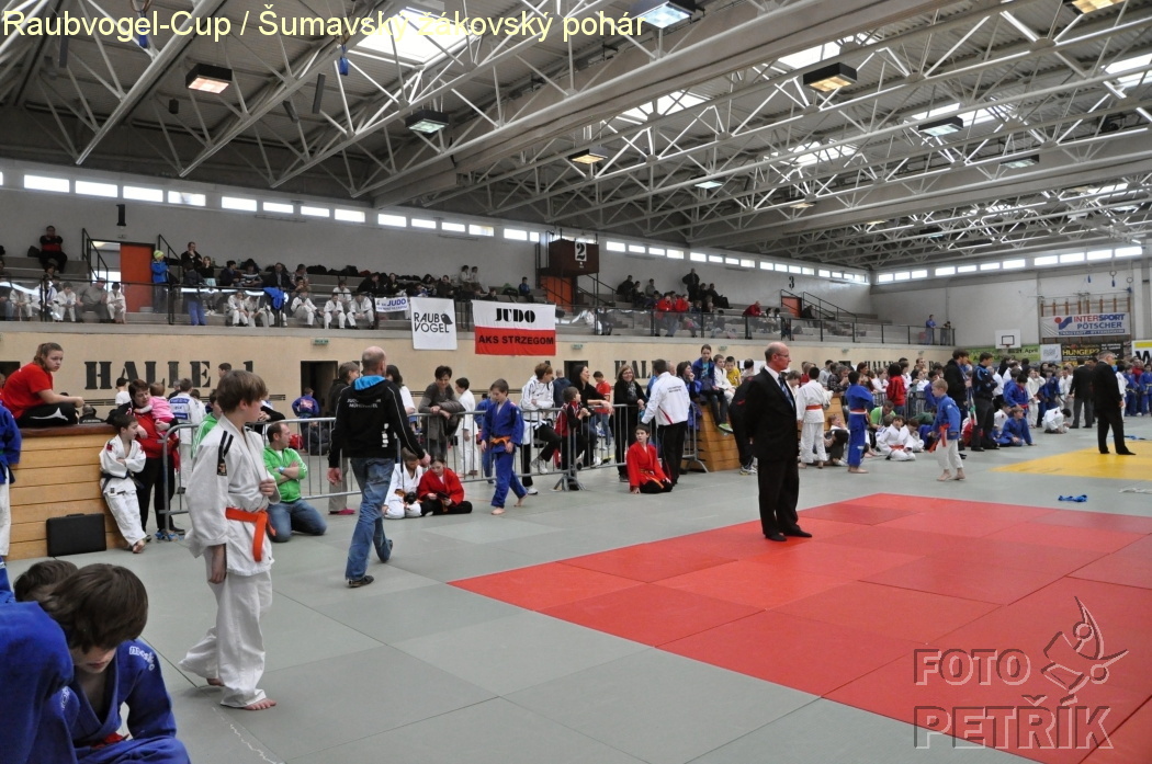 Rohrbach  CUP-1__11.JPG