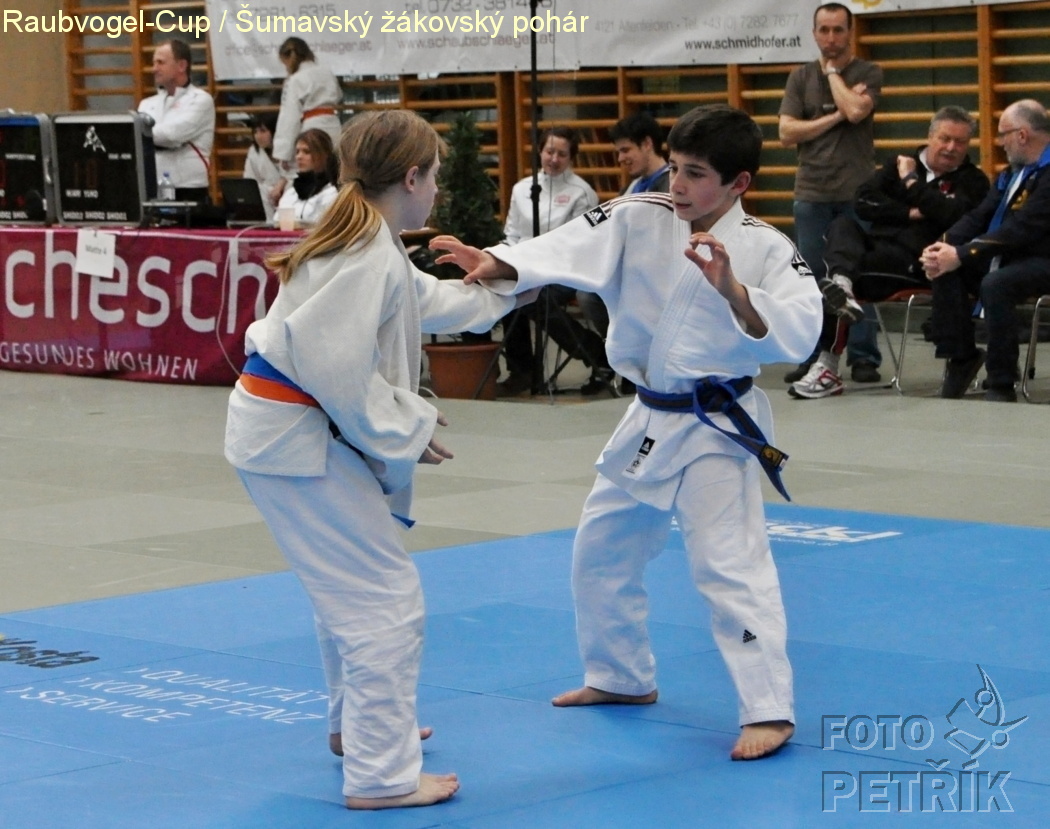 Rohrbach  CUP-1__14.JPG