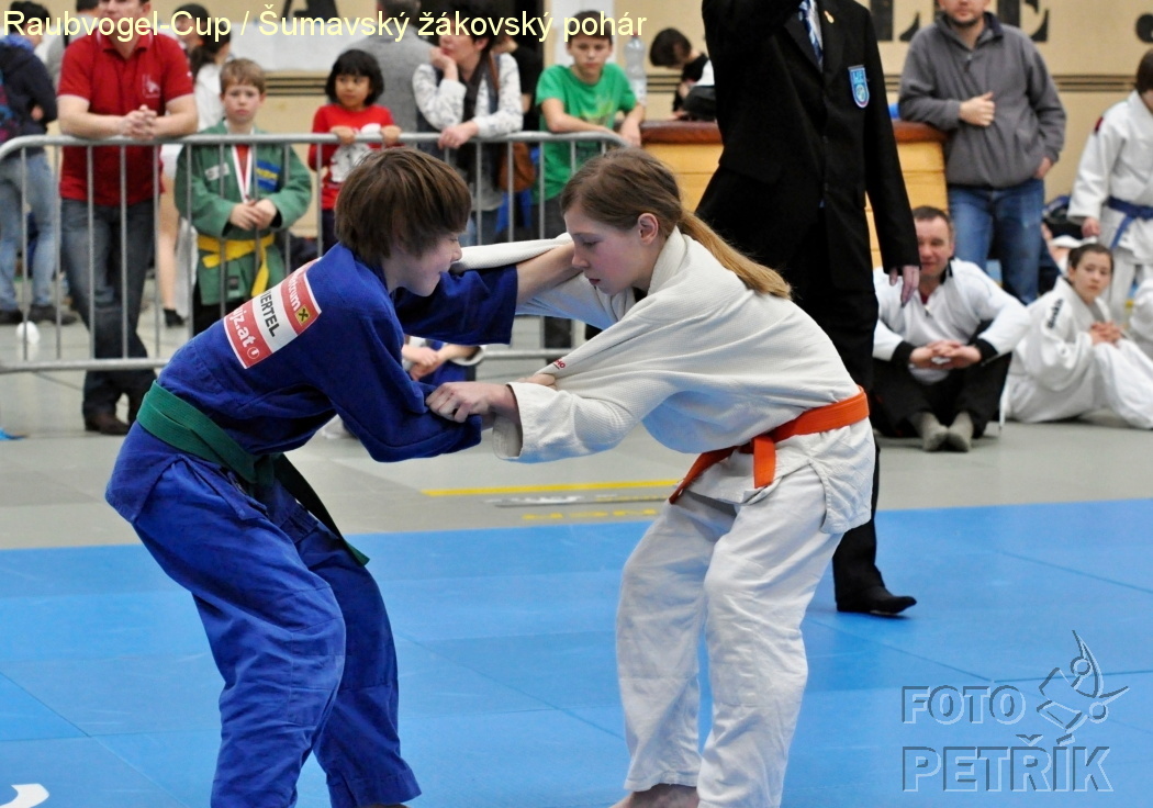 Rohrbach  CUP-1__16.JPG