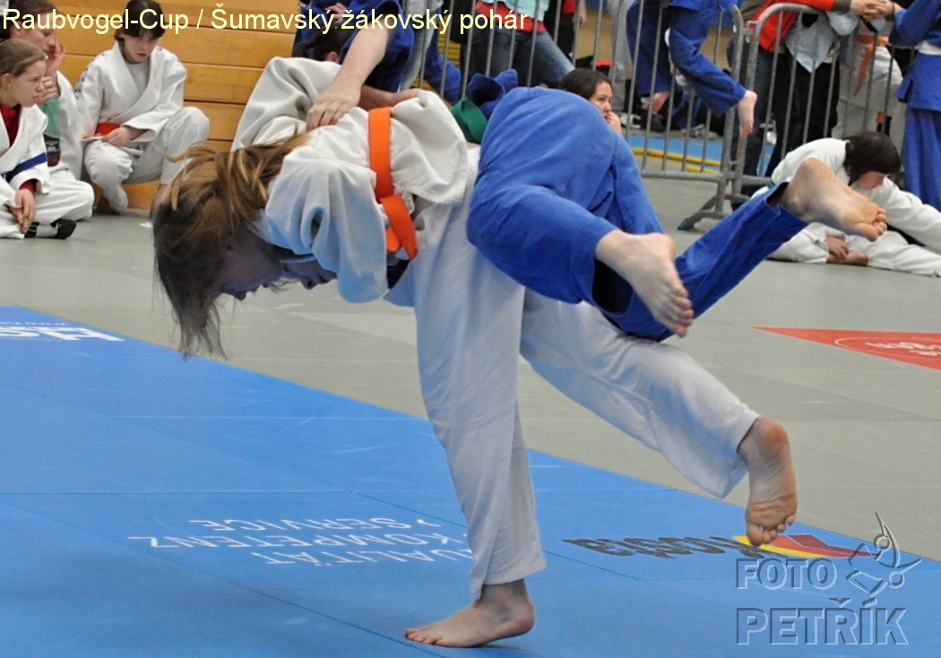 Rohrbach  CUP-1__17.JPG