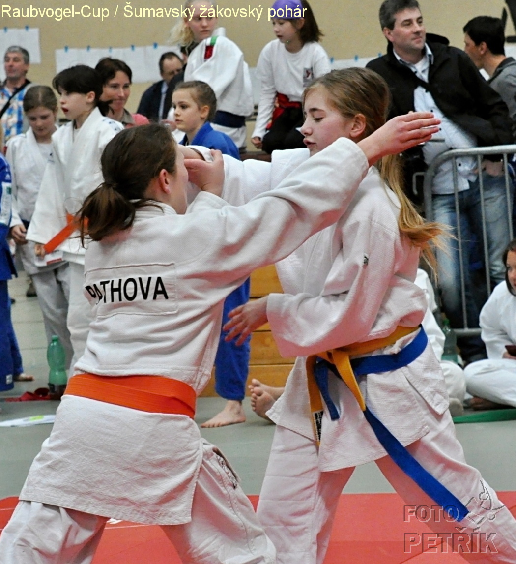 Rohrbach  CUP-1__19.JPG