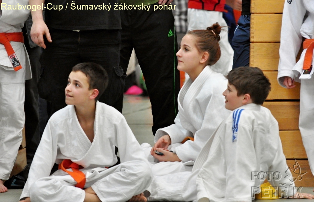 Rohrbach  CUP-1__20.JPG