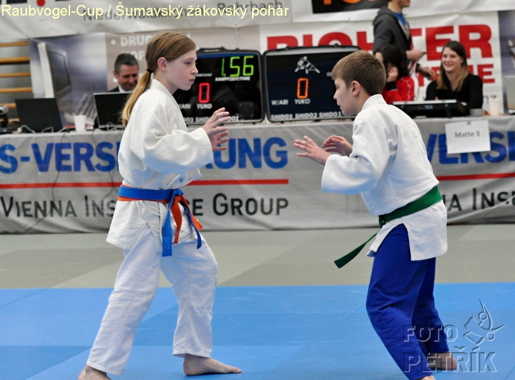 Rohrbach  CUP-1__25.JPG