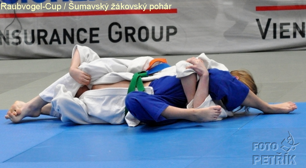 Rohrbach  CUP-1__26.JPG