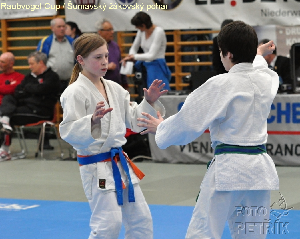 Rohrbach  CUP-1__30.JPG