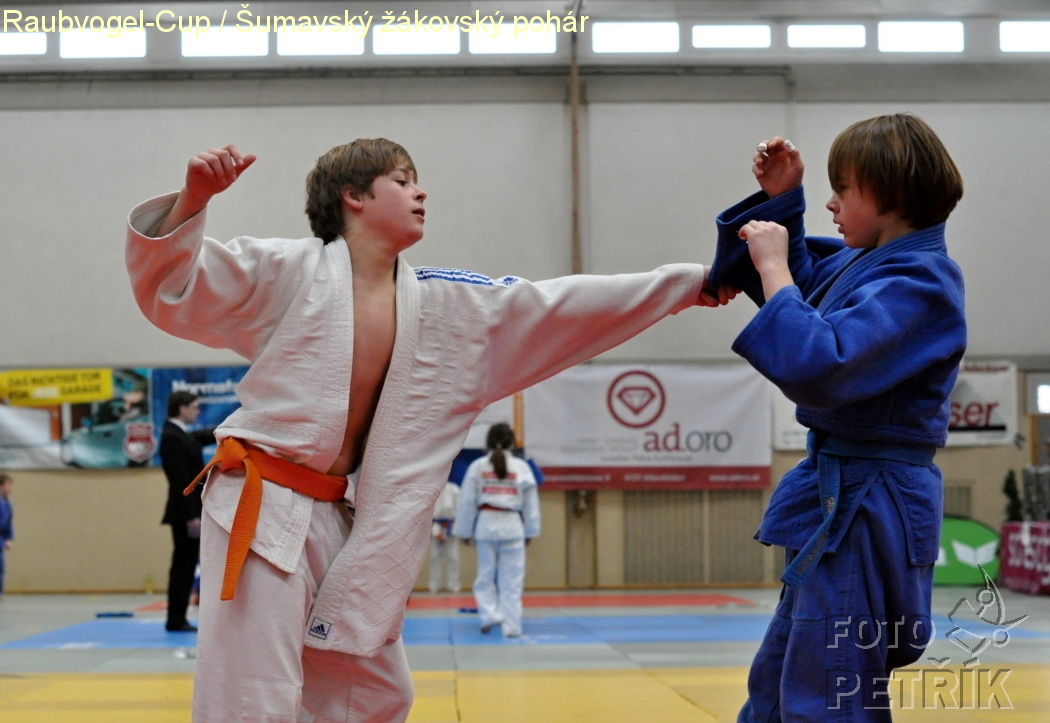 Rohrbach  CUP-1__31.JPG