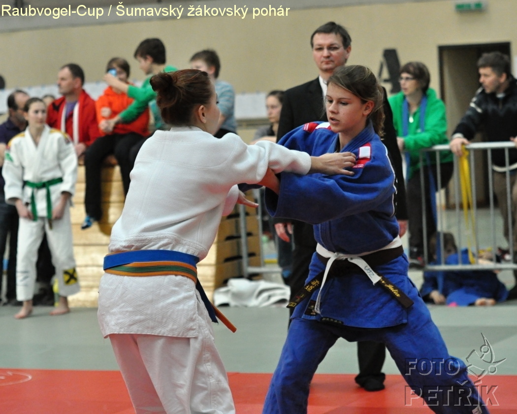 Rohrbach  CUP-1__48.JPG