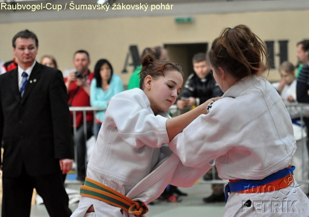 Rohrbach  CUP-1__52.JPG