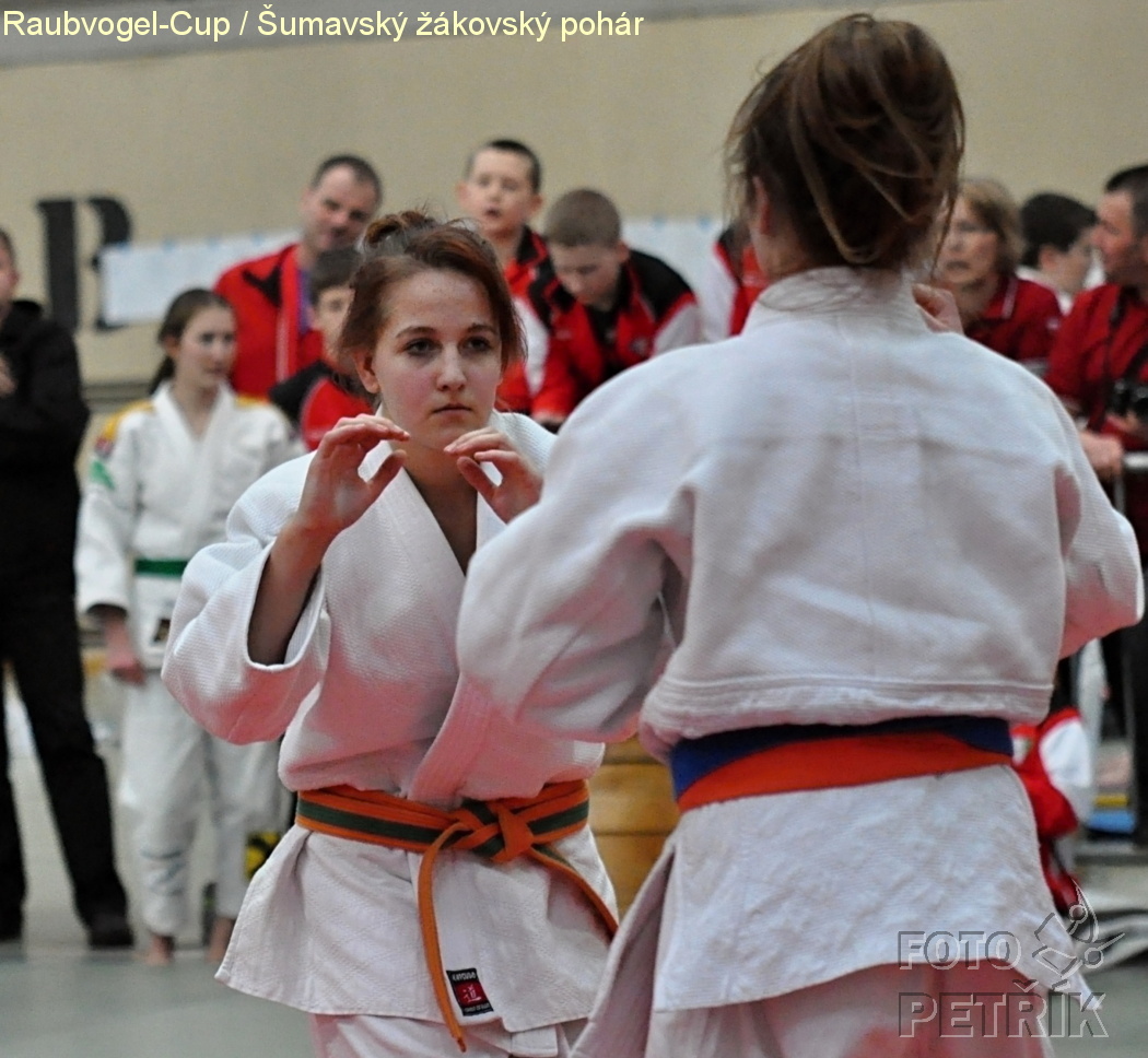 Rohrbach  CUP-1__53.JPG