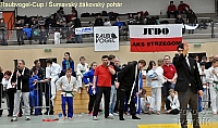Rohrbach  CUP-1__04.JPG