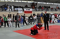 Rohrbach  CUP-1__06.JPG