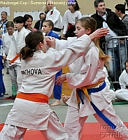 Rohrbach  CUP-1__19.JPG