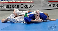 Rohrbach  CUP-1__26.JPG