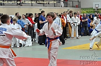 Rohrbach  CUP-1__29.JPG