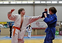 Rohrbach  CUP-1__31.JPG