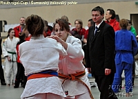Rohrbach  CUP-1__54.JPG