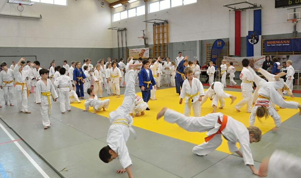 Ulrichsberg PDP 2013__02.jpg