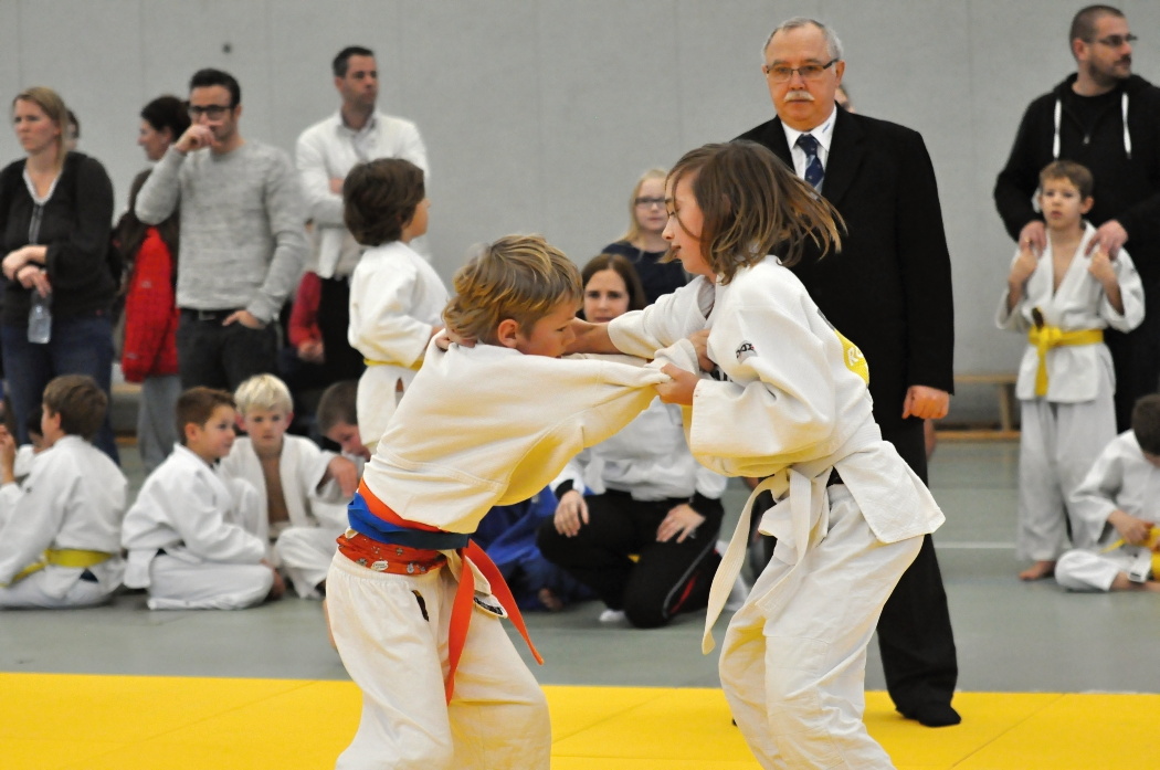 Ulrichsberg PDP 2013__25.jpg