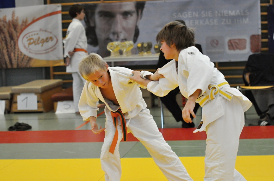 Ulrichsberg PDP 2013__30.jpg