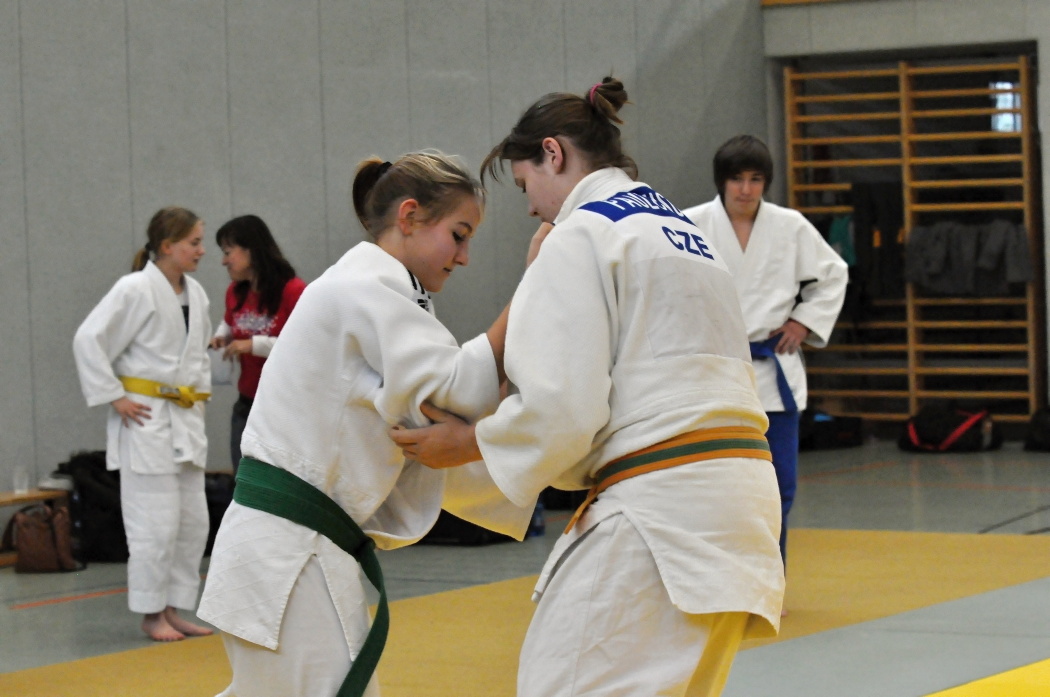 Ulrichsberg PDP 2013__71.jpg