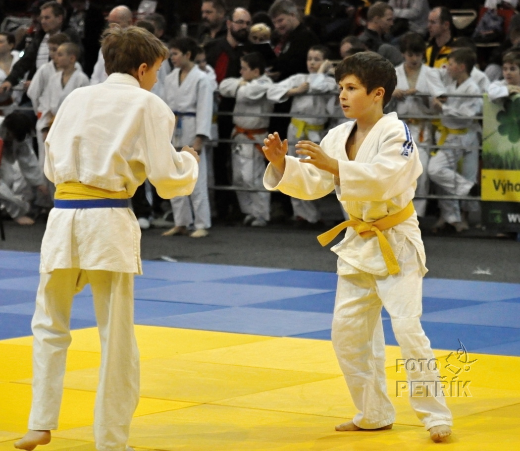 CP Chomutov_2013_14.JPG
