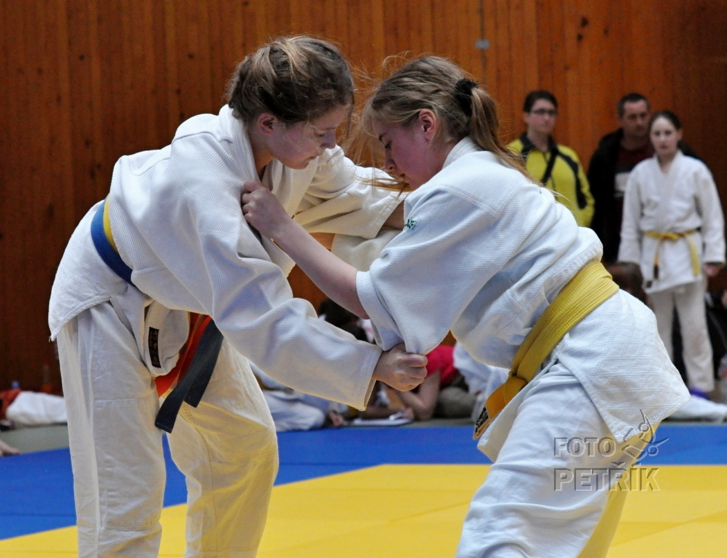 CP Chomutov_2013_17.JPG