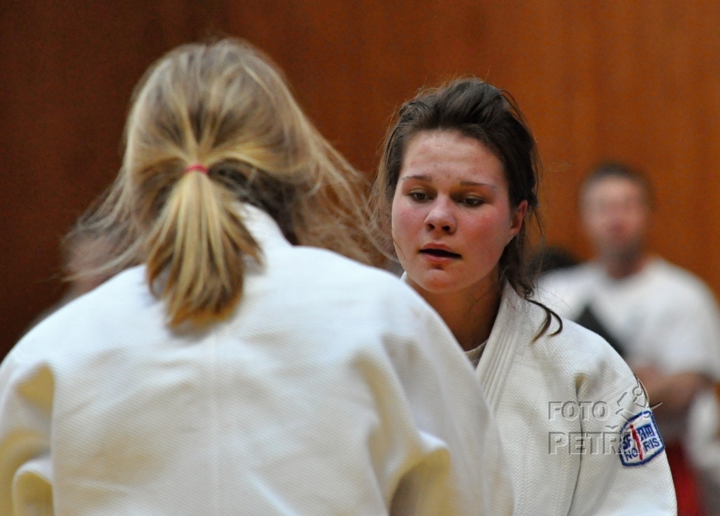 CP Chomutov_2013_6.JPG