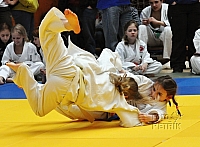 CP Chomutov_2013_15.JPG