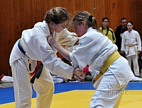 CP Chomutov_2013_17.JPG