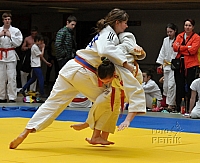 CP Chomutov_2013_9.JPG