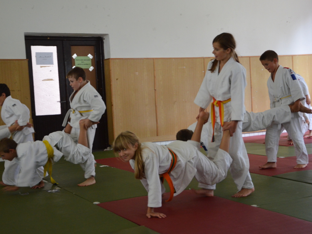 Sob. rybnik 2013__36.jpg