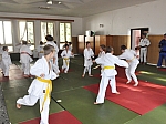 Sob. rybnik 2013__46.jpg