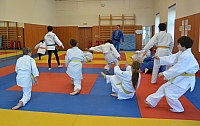 sokol_ (18).jpg