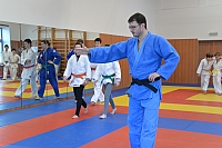 sokol_ (26).jpg