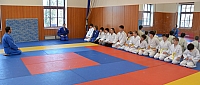 sokol_ (3).jpg