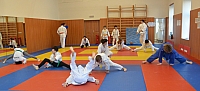 sokol_ (9).jpg