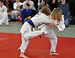 coko Kaplice2014__08.jpg