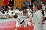 coko Kaplice2014__10.jpg