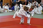 coko Kaplice2014__11.jpg