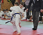 coko Kaplice2014__26.jpg