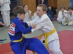 coko Kaplice2014__29.jpg