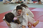 coko Kaplice2014__32.jpg